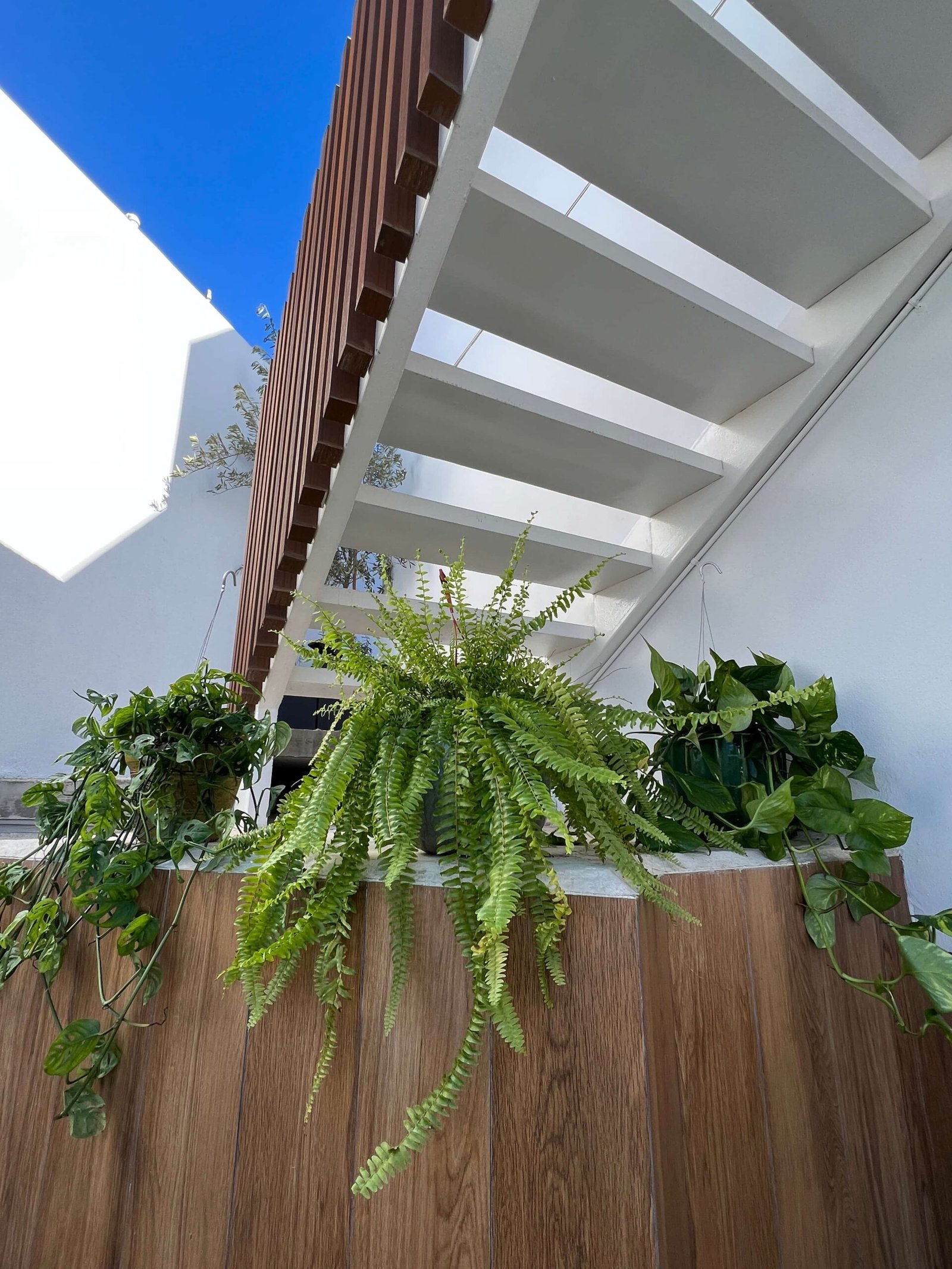 Residencial con diseño contemporáneo en Tijuana por Diseño en Espiral